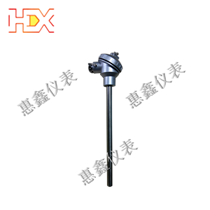 防爆熱電阻 防爆熱電阻